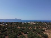 Kokkino Chorio 8.000 m² Grundstück in Kokkino Chorio zu verkaufen Grundstück kaufen